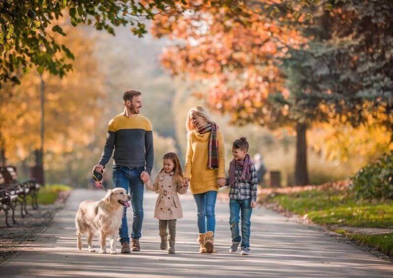 Family walking dog in park